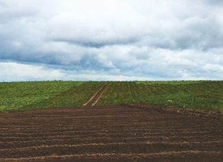 What to do first to correct soil biology – the basics