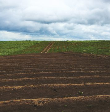 What to do first to correct soil biology – the basics