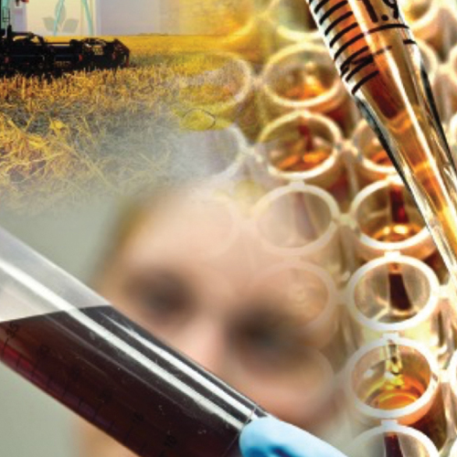 What’s the big deal about biologicals?