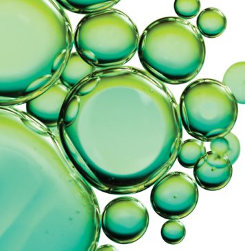 The ins and outs of biofuels