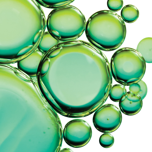 The ins and outs of biofuels