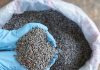 Fertiliser prices continue to reflect global markets