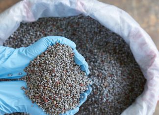 Fertiliser prices continue to reflect global markets