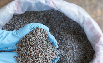 Fertiliser prices continue to reflect global markets