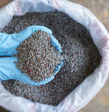 Fertiliser prices continue to reflect global markets