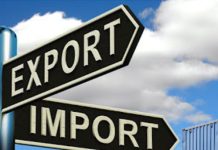 Record crops and growing carry-over stocks: Why then are SA exports slow?