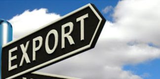 Record crops and growing carry-over stocks: Why then are SA exports slow?