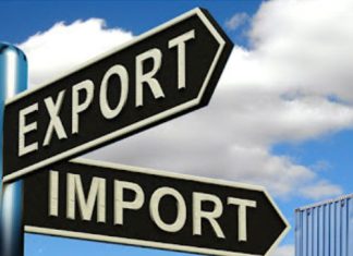 Record crops and growing carry-over stocks: Why then are SA exports slow?