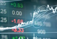 Record crops and growing carry-over stocks: Why then are SA exports slow?
