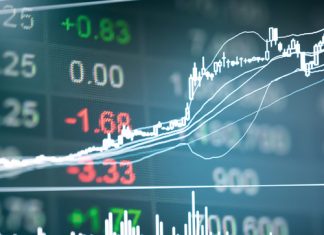 Record crops and growing carry-over stocks: Why then are SA exports slow?