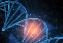EU regulations open the door for NEW BREEDING TECHNIQUES