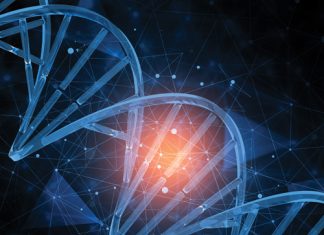 EU regulations open the door for NEW BREEDING TECHNIQUES