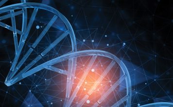 EU regulations open the door for NEW BREEDING TECHNIQUES