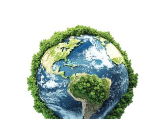 Managing chemicals for a sustainable future