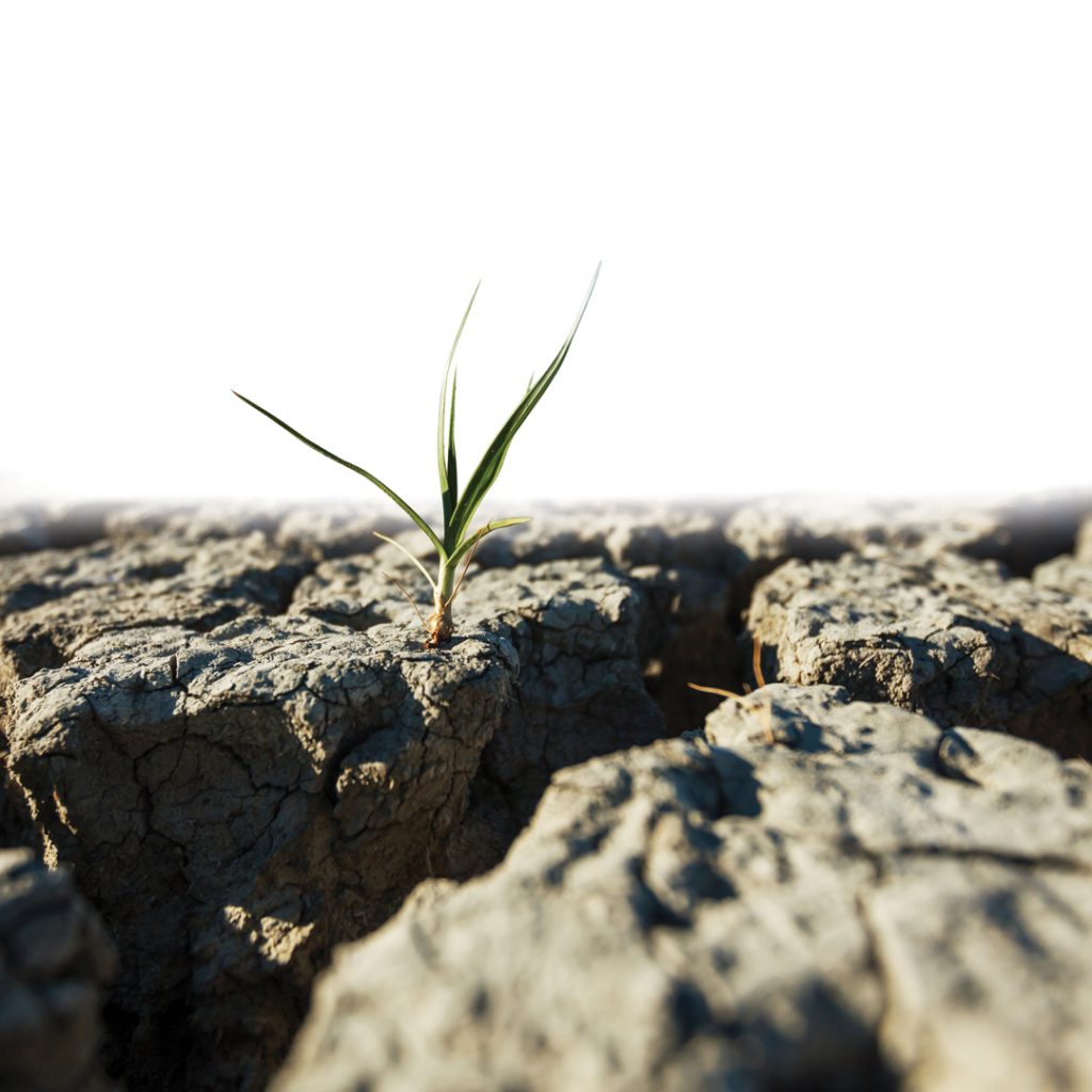 Weather and climate outlooks for the 2026/2027 SUMMER SEASON