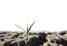 Weather and climate outlooks for the 2026/2027 SUMMER SEASON