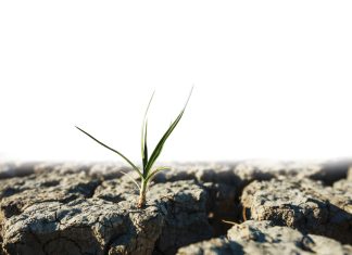 Weather and climate outlooks for the 2026/2027 SUMMER SEASON