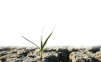 Weather and climate outlooks for the 2026/2027 SUMMER SEASON