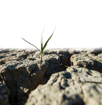 Weather and climate outlooks for the 2026/2027 SUMMER SEASON