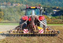 Tillage and Sclerotinia in oilseed crops: solution or setback?