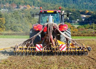 Tillage and Sclerotinia in oilseed crops: solution or setback?