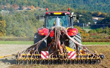 Tillage and Sclerotinia in oilseed crops: solution or setback?