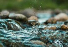 Van rivier tot wortelsone en terug: waterkwaliteit onder die loep