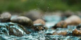 Van rivier tot wortelsone en terug: waterkwaliteit onder die loep