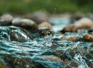 Van rivier tot wortelsone en terug: waterkwaliteit onder die loep