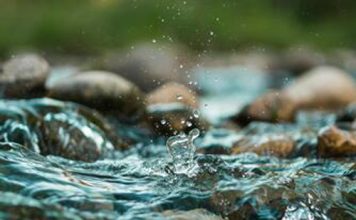 Van rivier tot wortelsone en terug: waterkwaliteit onder die loep