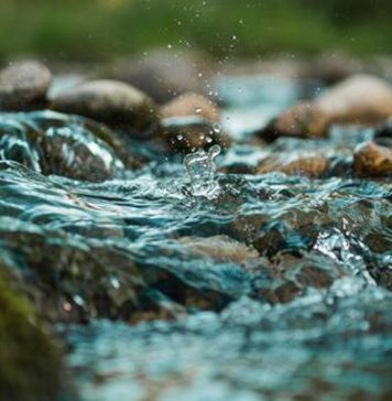 Van rivier tot wortelsone en terug: waterkwaliteit onder die loep