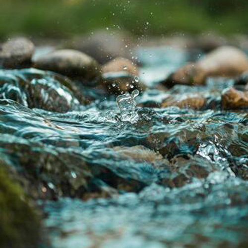 Van rivier tot wortelsone en terug: waterkwaliteit onder die loep