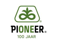Die belangrikheid van inry-spasiëring van mielieplante